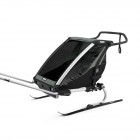 Thule Chariot Lite (dvivietis) agavos žalia 10203022